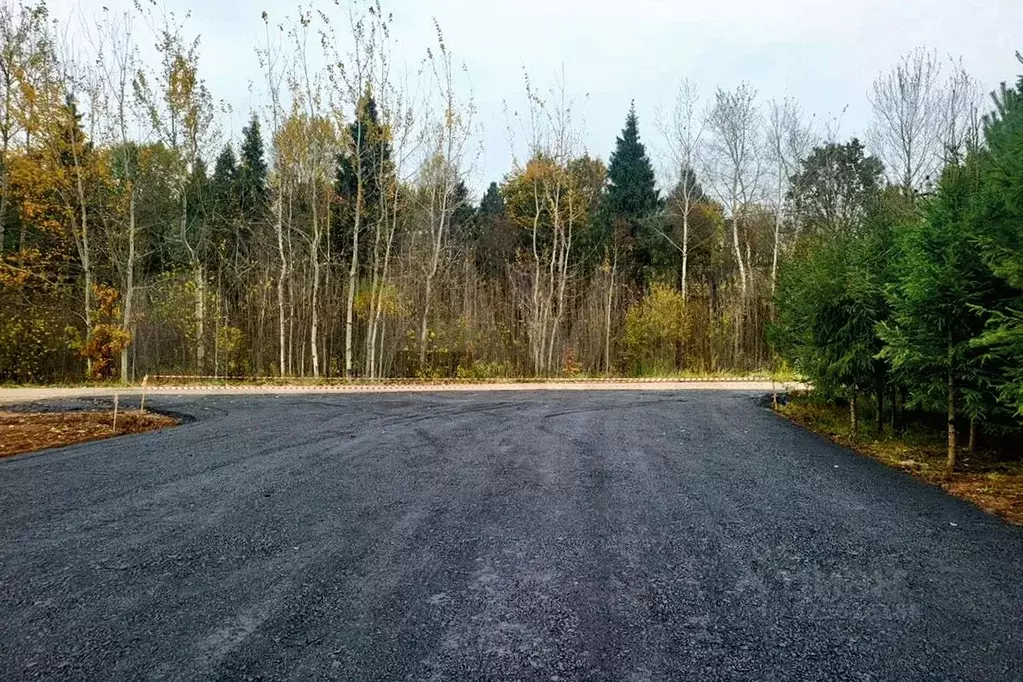 Участок в Московская область, Дмитровский муниципальный округ, с. ... - Фото 2