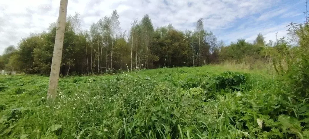 Участок в Горно-Алтайск, СНТ Иолго, 30 (6 м) - Фото 1