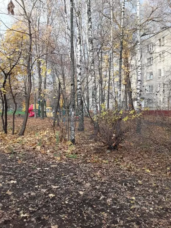 1-к кв. Москва ул. Плющева, 12К2 (18.0 м) - Фото 2