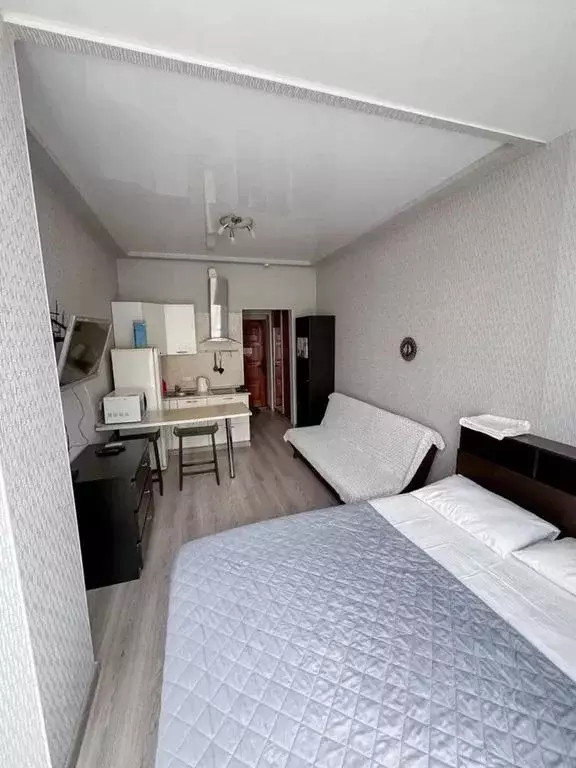 Студия Краснодарский край, Сочи Курортный просп., 75к1 (20.0 м) - Фото 1