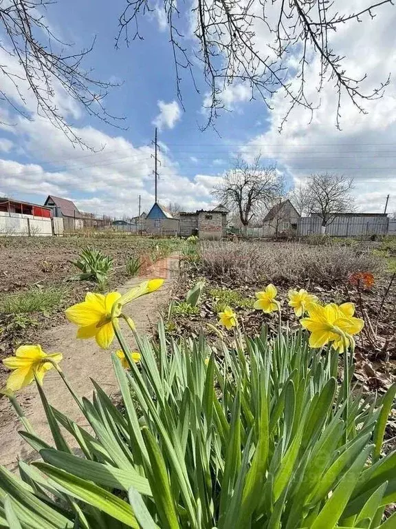 Участок в Белгородская область, Старый Оскол Водник СНТ, ул. Зеленая, ... - Фото 0