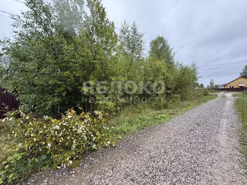 Участок в Пермский край, Березники пер. Красивый, 12 (14.4 сот.) - Фото 1