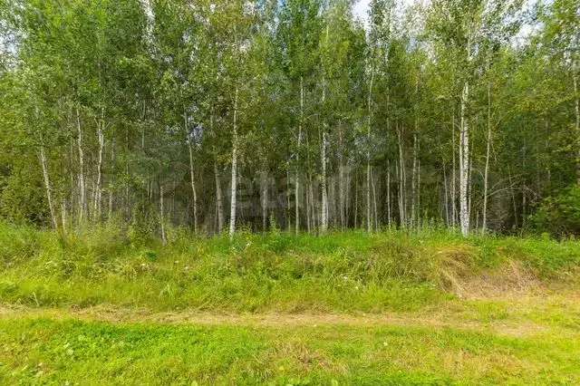 Участок 10 сот. (личное подсобное хозяйство (лпх)) - Фото 0