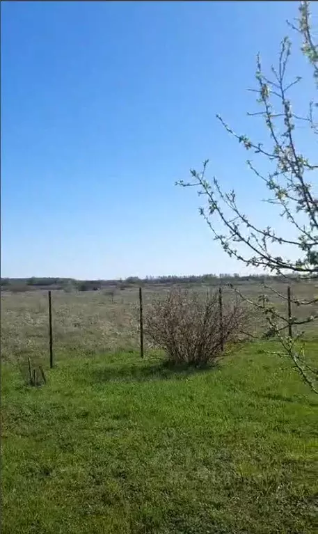 Участок в Новгородская область, Шимское городское поселение, д. Бор  ... - Фото 1