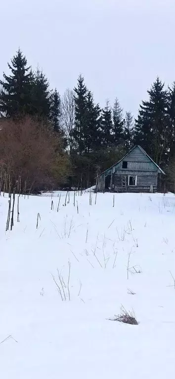 Участок в Псковская область, Псковский район, Тямшанская волость, д. ... - Фото 1