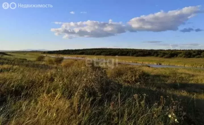 Участок в село Драгунское, Гвардейская улица (22 м) - Фото 1