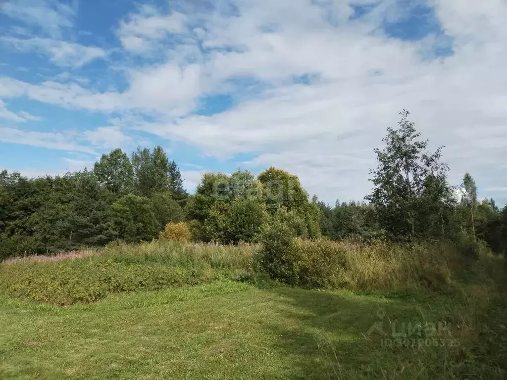 участок в ленинградская область, киришский район, будогощское . - Фото 1