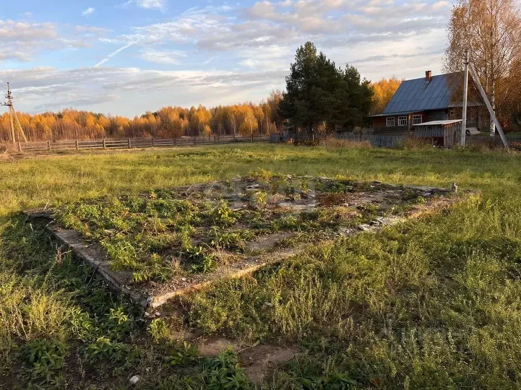 Участок в Вологодская область, Усть-Кубинский муниципальный округ, д. ... - Фото 2
