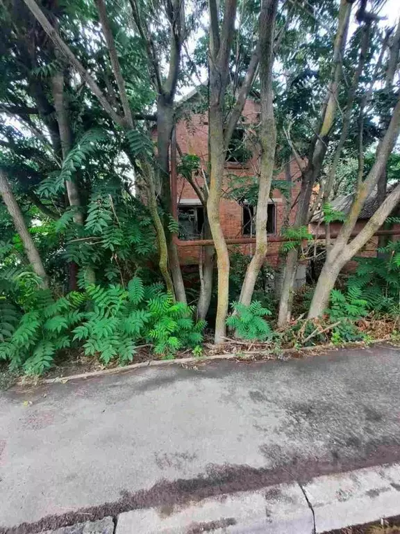 Участок в Ростовская область, Аксайский район, Большелогское с/пос, ... - Фото 1