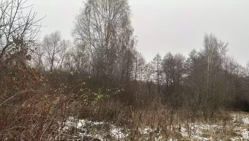 Участок в Московская область, Ступино городской округ, д. Дворяниново ... - Фото 0