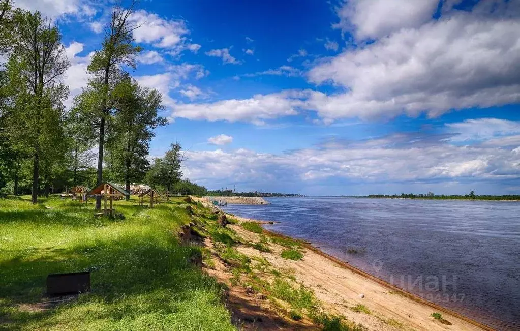 Участок в Нижегородская область, Чкаловск городской округ, с. Пурех  ... - Фото 0