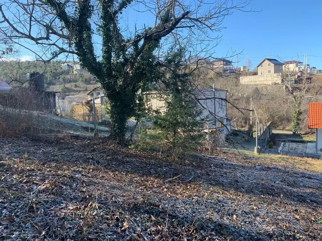 Участок в Краснодарский край, Анапа муниципальный округ, с. Сукко пер. ... - Фото 1