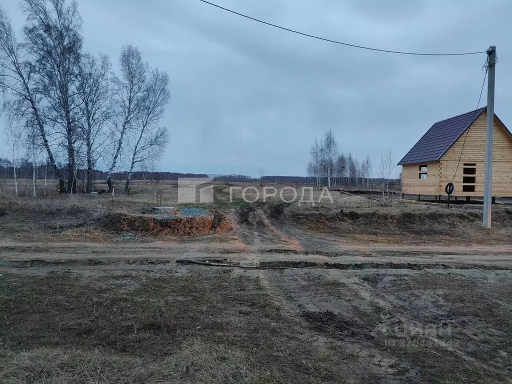 Участок в Новосибирская область, Новосибирский район, с. Верх-Тула, ... - Фото 1