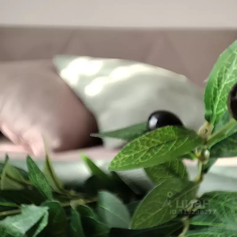 Студия Краснодарский край, Краснодар ул. Ивана Беличенко, 90 (26.3 м) - Фото 0