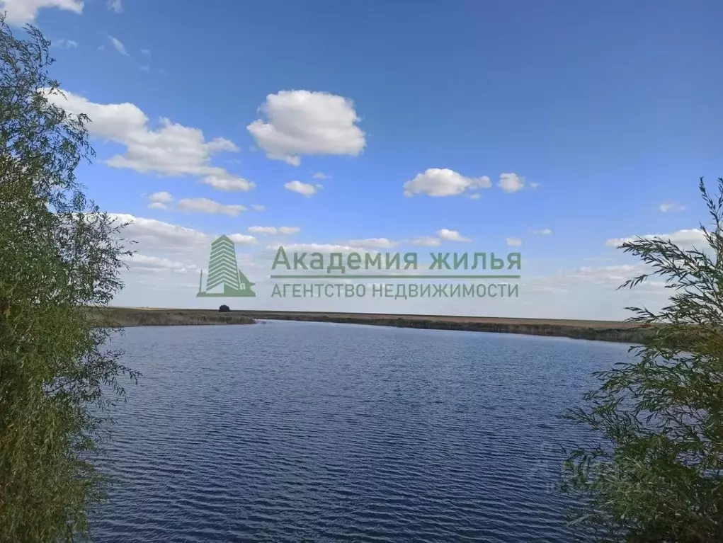 Участок в Саратовская область, Новоузенск  (3000.0 сот.) - Фото 1