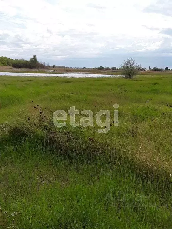 Участок в Саратовская область, Энгельсский район, Красноярское ... - Фото 1