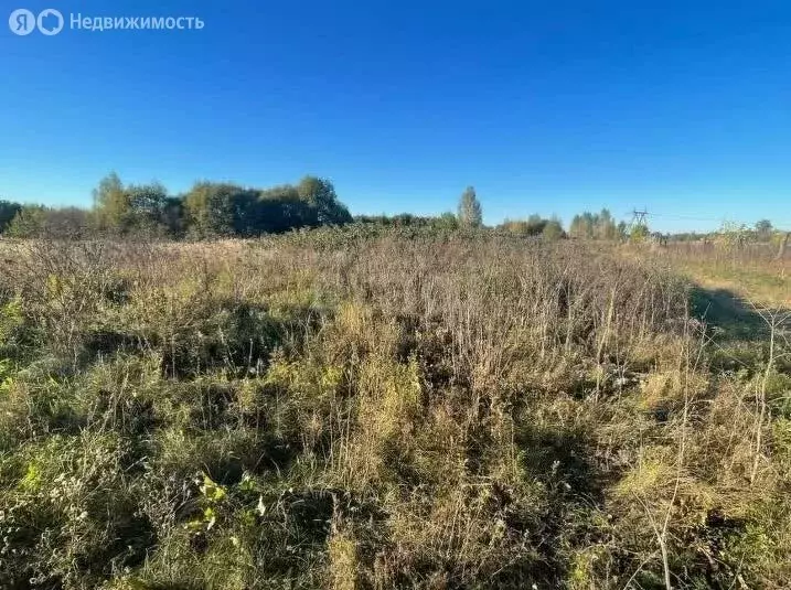 Участок в Владимирская область, Меленковский муниципальный округ, ... - Фото 1