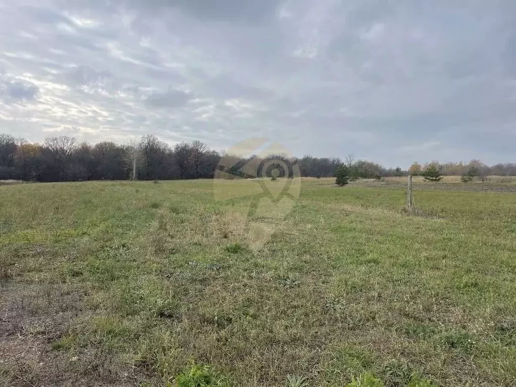 Участок в Белгородская область, Старооскольский городской округ, с. ... - Фото 1