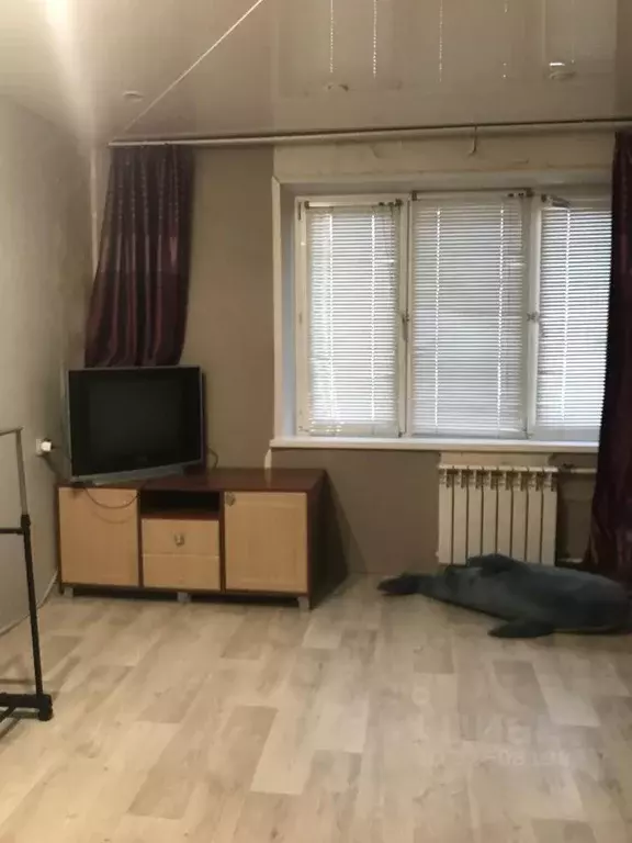 Студия Красноярский край, Красноярск ул. Кутузова, 42 (21.0 м) - Фото 2