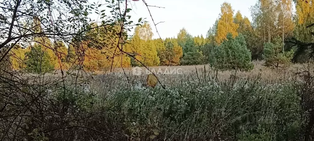 Участок в Владимирская область, Судогодский район, д. Аксеново  (36.0 ... - Фото 1