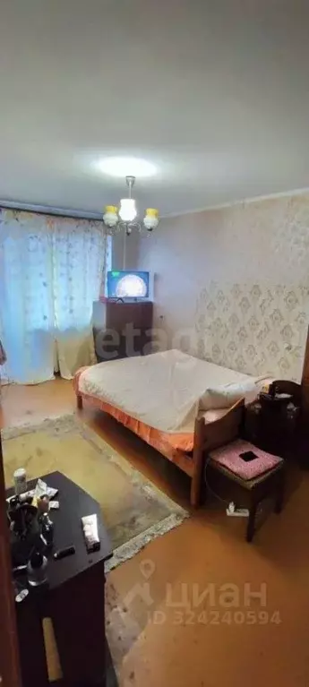 1-к кв. Московская область, Пушкинский городской округ, Правдинский ... - Фото 1