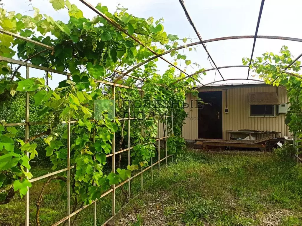 Дом в Краснодарский край, Крымский район, Молдаванское с/пос, пос. ... - Фото 1