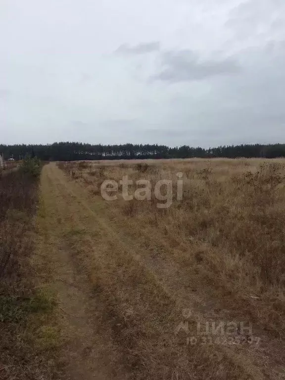 Участок в Ярославская область, Ярославский муниципальный округ, д. ... - Фото 0