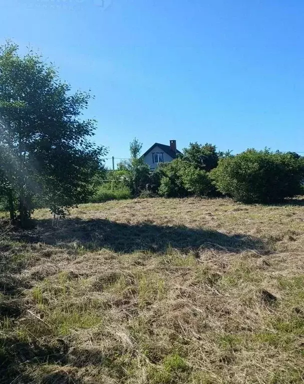Участок в Калининградская область, Калининград Дельфин СНТ, ул. ... - Фото 0