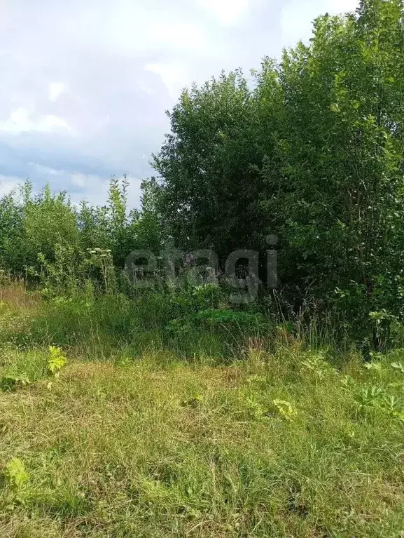 Участок в Вологодская область, д. Коренево  (11.5 сот.) - Фото 1