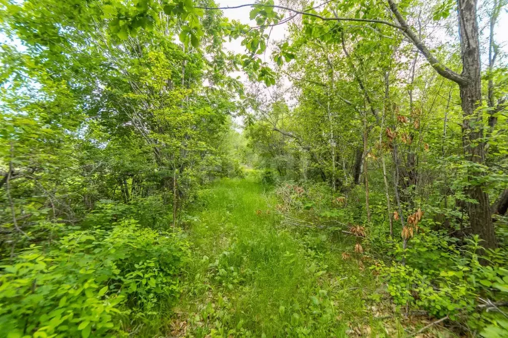 Дом в Еврейская автономная область, Смидовичский район, пос. ... - Фото 2