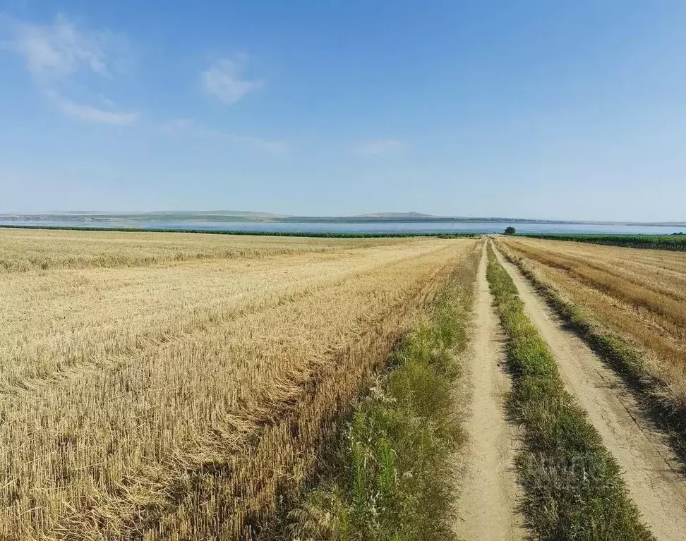 Участок в Краснодарский край, Темрюкский район, Новотаманское с/пос, ... - Фото 2