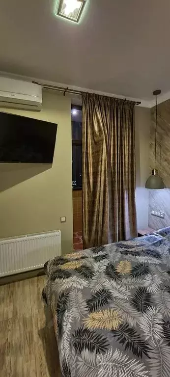 1-к кв. Краснодарский край, Краснодар Центральный мкр, ул. Кубанская ... - Фото 2