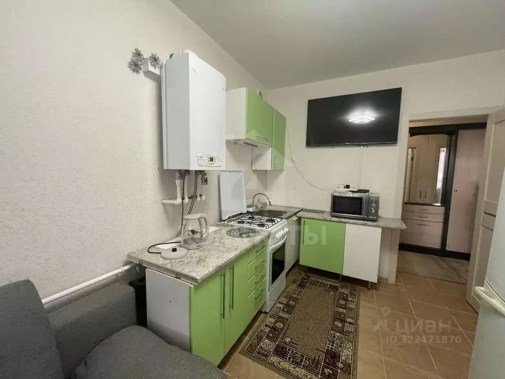 1-к кв. Воронежская область, Рамонский район, с. Ямное ул. Ягодная, 1 ... - Фото 1