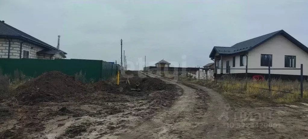 Участок в Воронежская область, Рамонский район, Новоживотинновское ... - Фото 1