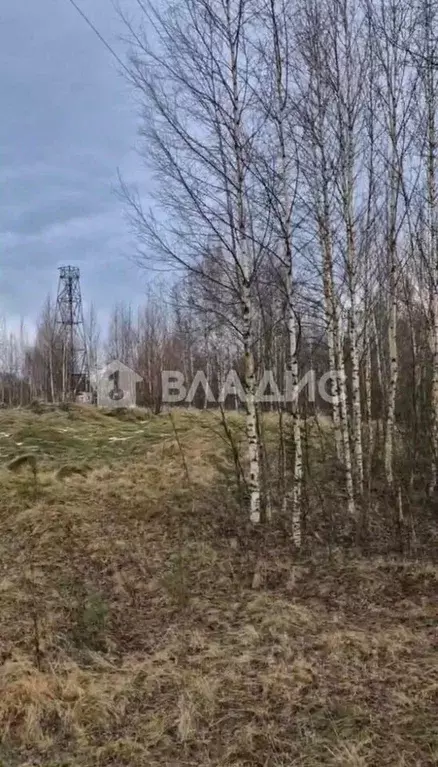 Участок в Ленинградская область, Кировский район, Павловское городское ... - Фото 0