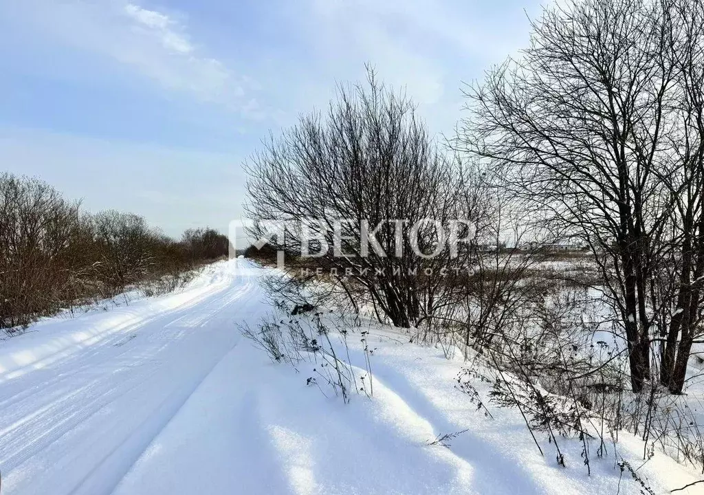 Участок в Костромская область, Кострома Соколиное Гнездо кп, 1 (8.3 ... - Фото 0