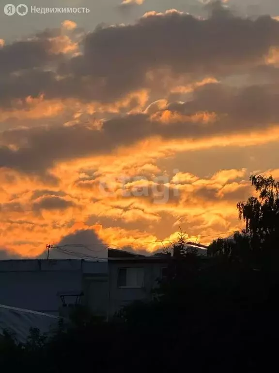 Участок в Венёв, улица Большие Городенцы (6 м) - Фото 0