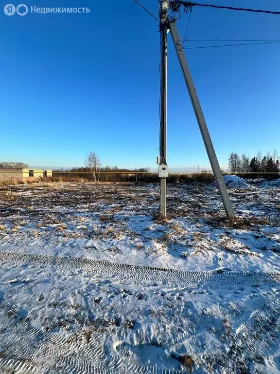 Участок в Суздальский район, муниципальное образование Селецкое, село ... - Фото 1