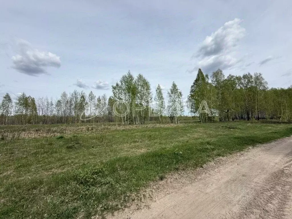 Участок в Тюменская область, Тюменский муниципальный округ, с. Борки ... - Фото 1