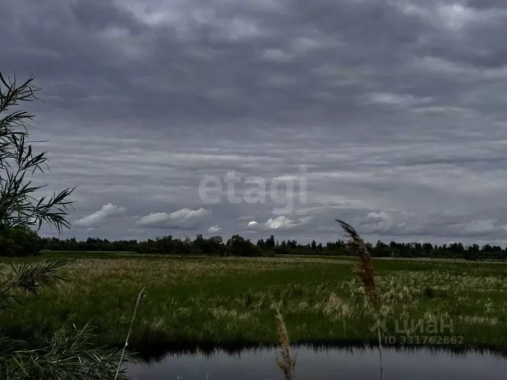Участок в Амурская область, Благовещенский район, с. Егорьевка  (99.23 ... - Фото 1