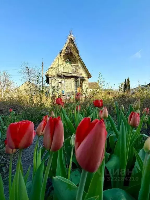 Дом в Белгородская область, Старый Оскол Водник СНТ, 56 (37 м) - Фото 2