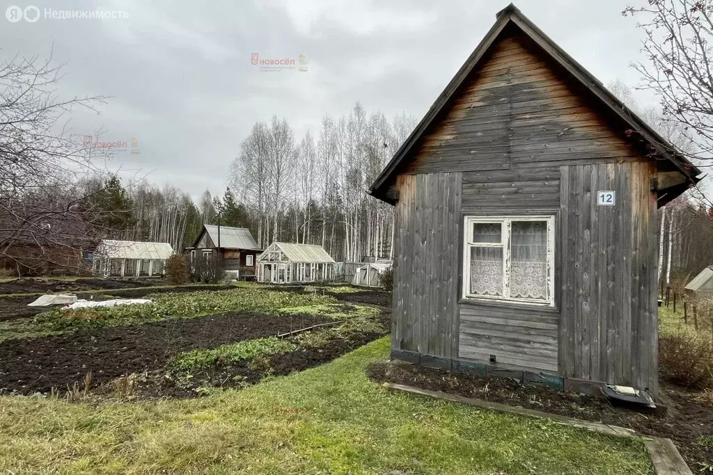 Участок в Свердловская область, Сысертский муниципальный округ, СНТ ... - Фото 2