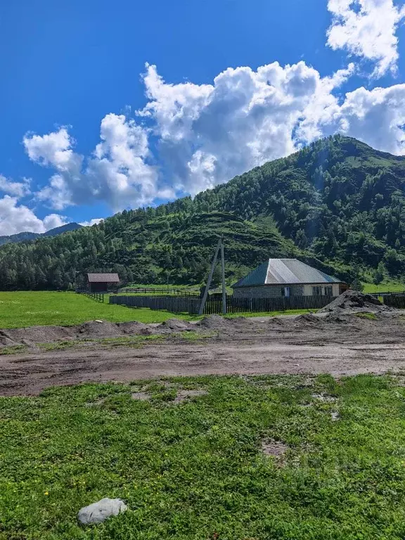 Участок в Алтай, Чемальский район, с. Чемал ул. В.И. Кречетова, 11 ... - Фото 1