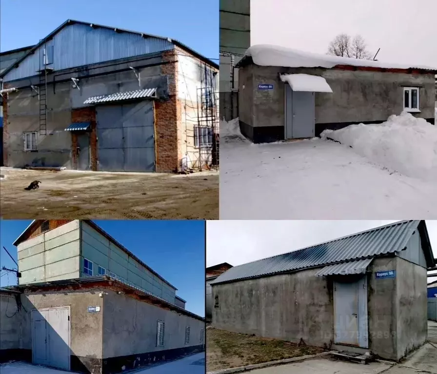 Помещение свободного назначения в Новосибирская область, Новосибирск ... - Фото 1