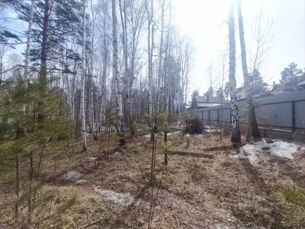 Участок в Иркутская область, Иркутский муниципальный округ, Маркова ... - Фото 1