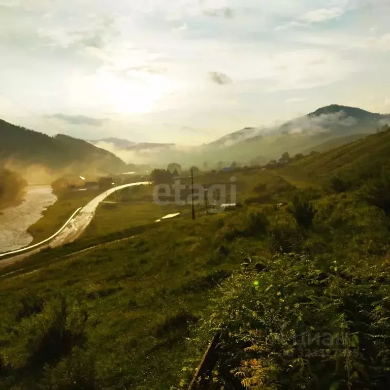 Участок в Алтайский край, Солонешенский район, с. Топольное  (21.66 ... - Фото 1