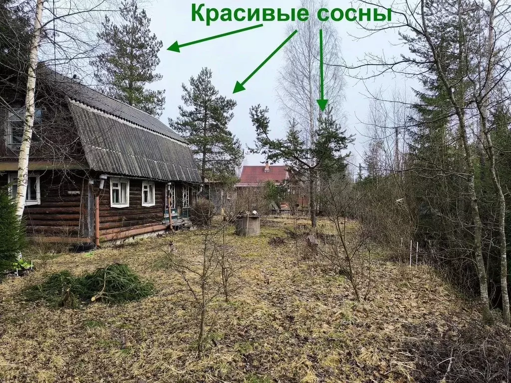Дом в Ленинградская область, Выборгский район, Рощинское городское ... - Фото 2