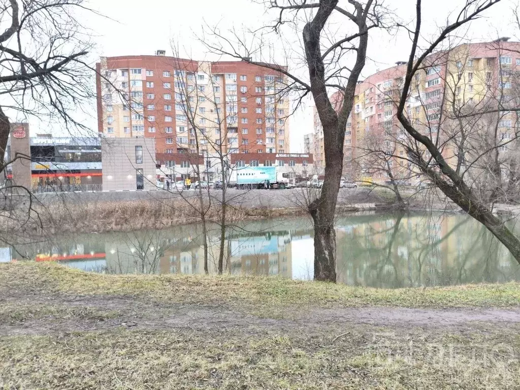 1-к кв. Рязанская область, Рязань Песочня тер., ул. Тимакова, 15/23 ... - Фото 1