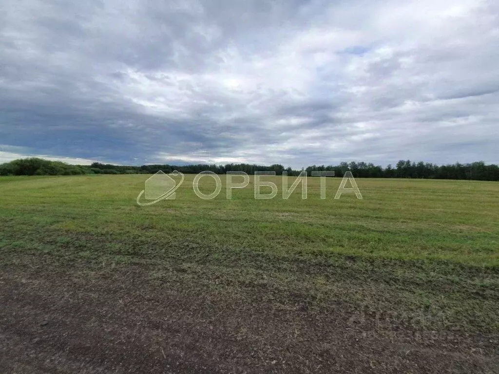 Участок в Тюменская область, Исетский муниципальный округ, д. ... - Фото 1