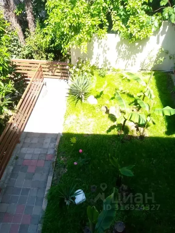 Студия Краснодарский край, Сочи Мамайка мкр, ул. Фадеева, 12 (30.0 м) - Фото 1